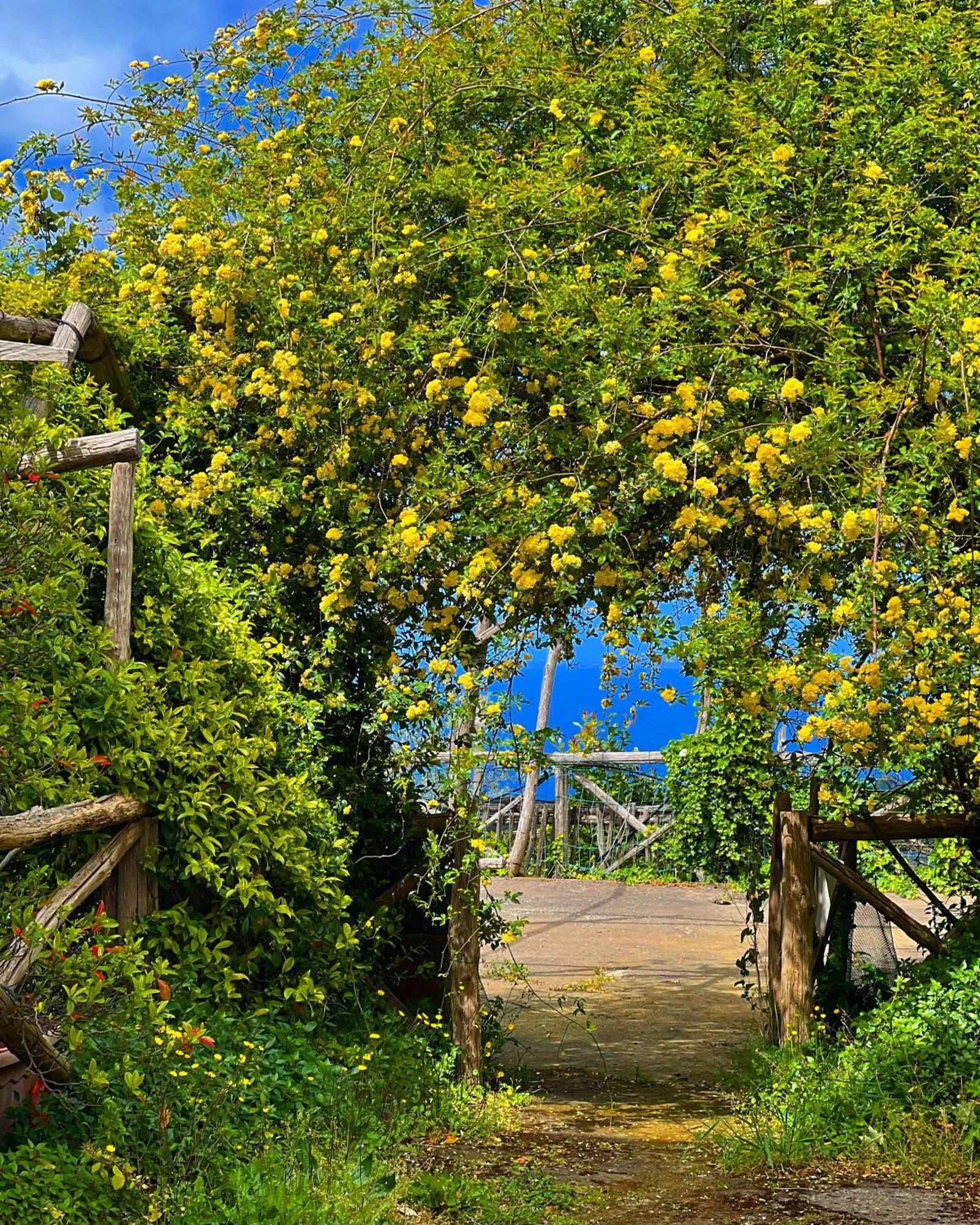 Agriturismo Le Grottelle Villa SantʼAgata sui Due Golfi Exteriör bild