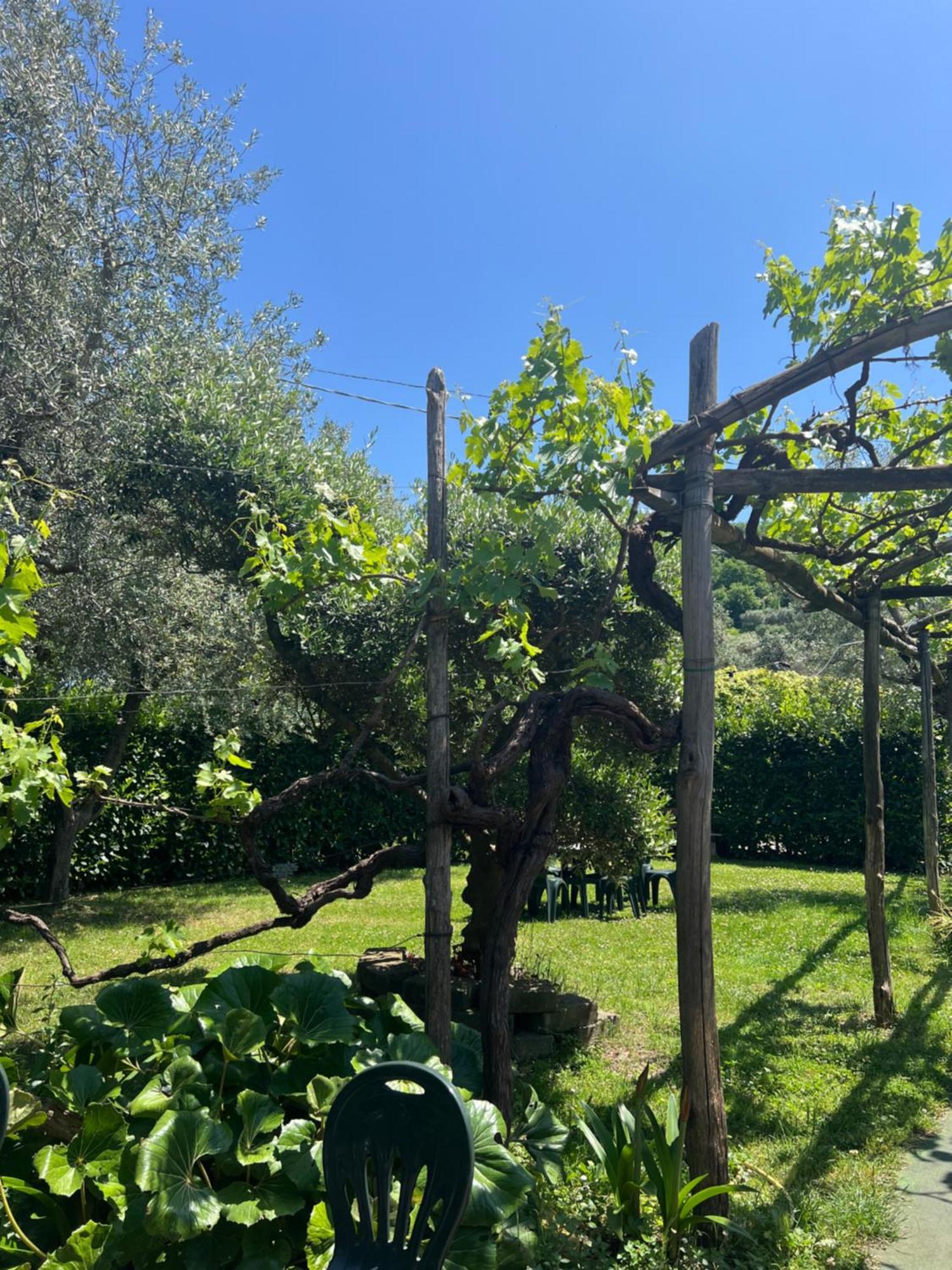 Agriturismo Le Grottelle Villa SantʼAgata sui Due Golfi Exteriör bild